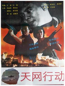 天網(wǎng)行動(全集)