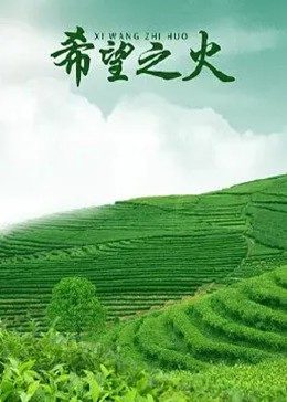 西游超級粉(全集)