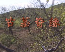 古墓奇緣(大結(jié)局)