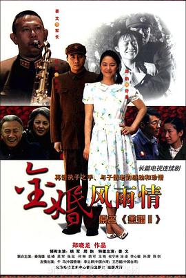 金婚·風雨情第01集