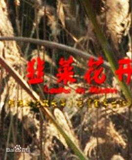 韭菜花開(大結(jié)局)