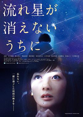 流星慢舞(大結局)