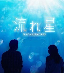 流星2010第01集