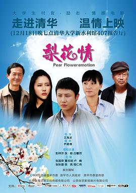 梨花情(大結局)
