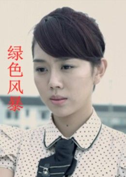 綠色風(fēng)暴(大結(jié)局)