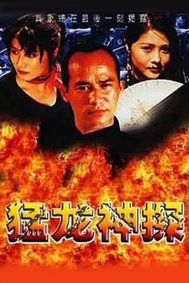 猛龍神探(大結局)