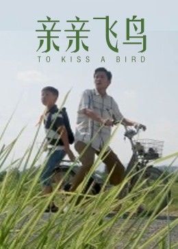 親親飛鳥(大結局)
