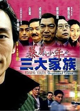 暴風少年之三大家族(大結局)