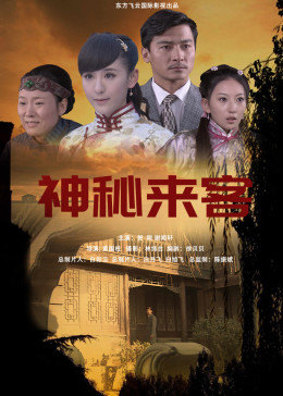 神秘來(lái)客2014(大結(jié)局)