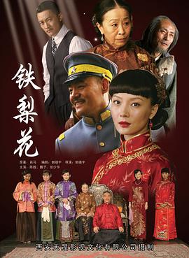 鐵梨花第01集