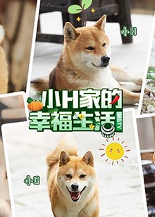 小H一家第1期