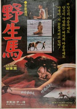 野生馬(大結局)