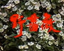 野薔薇第01集