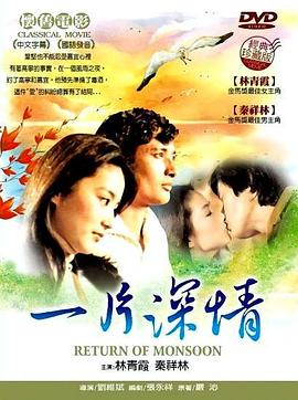 一片深情(大結(jié)局)