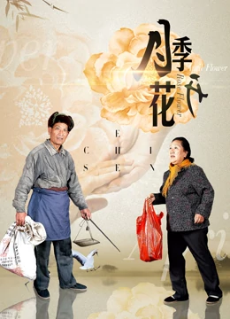 月季花開(大結局)