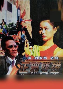 正邪雙雄(大結(jié)局)
