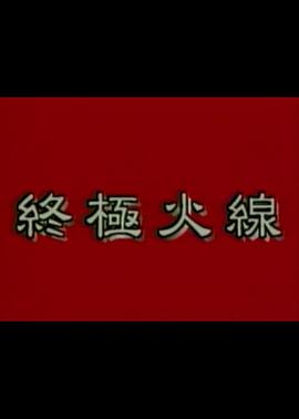 終極火線(大結局)