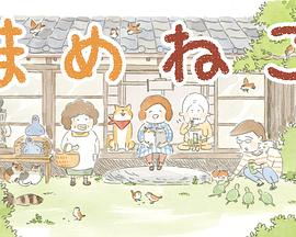 豆豆貓第01集