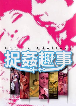 捉奸趣事HD