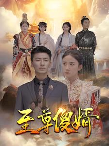 至尊傻婿全集(大結局)