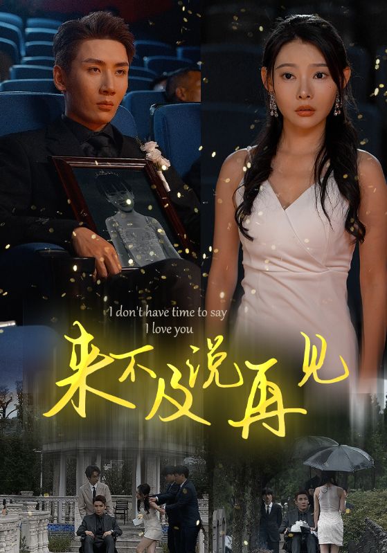 來不及說再見全集(大結(jié)局)