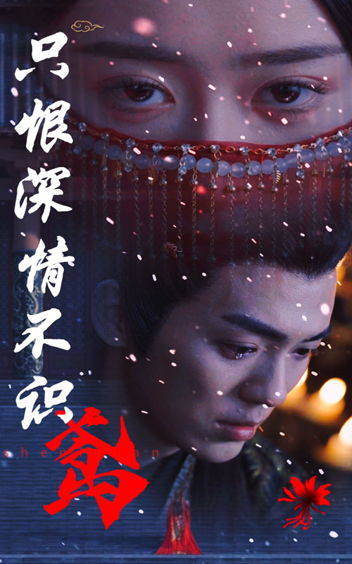 只恨深情不識鳶全集(大結(jié)局)