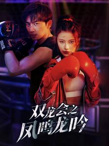 雙龍會之鳳鳴龍吟全集(大結(jié)局)
