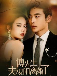 傅先生夫人又鬧離婚了全集(大結(jié)局)