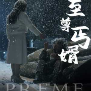 至尊丐婿全集(大結局)