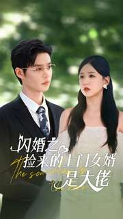 閃婚之撿來的上門女婿是大佬全集(大結(jié)局)