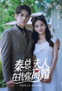 秦總，夫人在找你離婚全集(大結局)