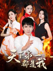 天下第一都是我全集(大結局)