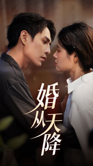 婚從天降全集(大結局)