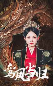 鸞鳳當(dāng)歸全集(大結(jié)局)