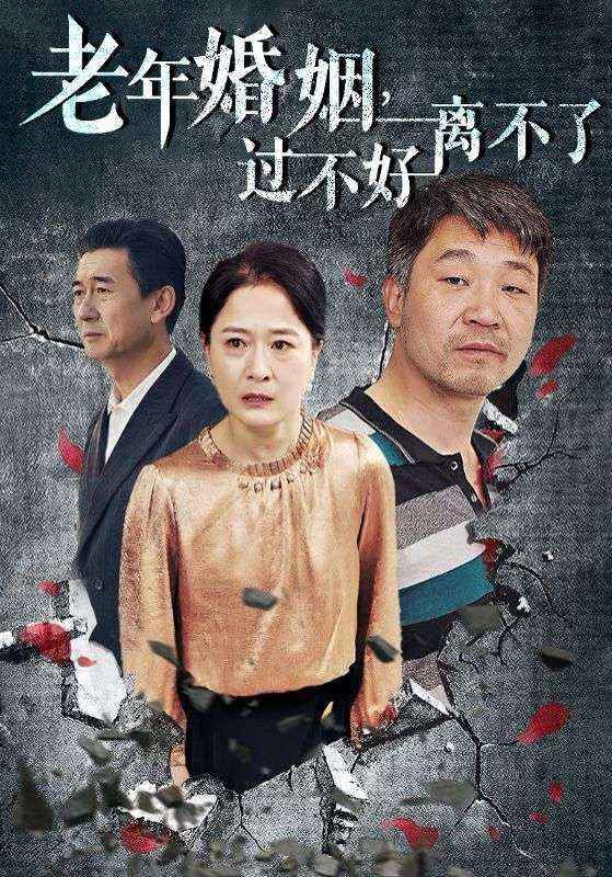 老年婚姻過不好離不了全集(大結局)