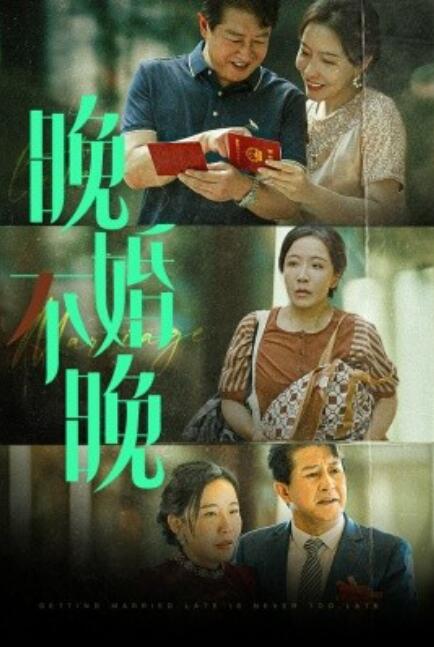晚婚不晚全集(大結(jié)局)