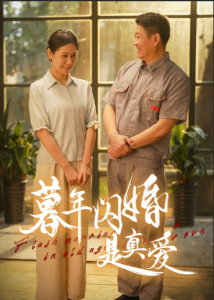 暮年閃婚是真愛全集(大結局)