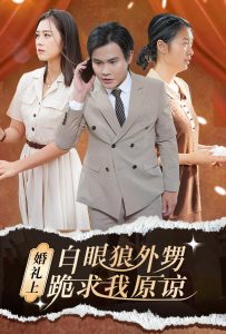 婚禮上白眼狼外甥跪求我原諒全集(大結(jié)局)