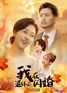 我在退休后閃婚全集(大結(jié)局)
