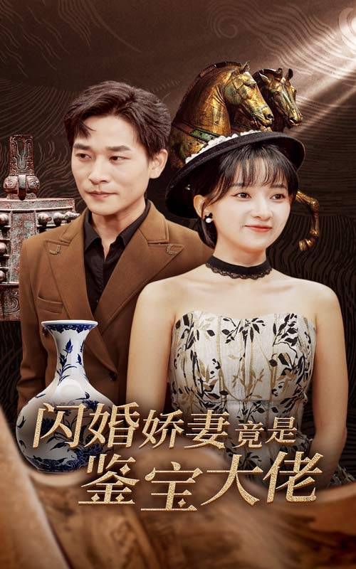 閃婚嬌妻竟是鑒寶大佬全集(大結局)