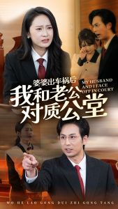 婆婆出車禍后我和老公對質(zhì)公堂全集(大結(jié)局)