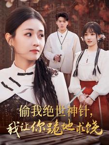 偷我絕世神針我讓你跪地求饒全集(大結局)