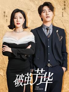 破繭芳華全集(大結局)