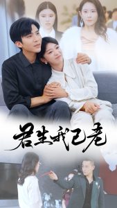 君生我已老全集(大結(jié)局)