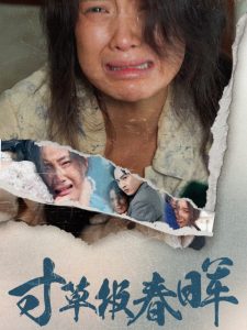 寸草報春暉全集(大結(jié)局)