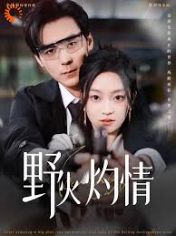 野火灼情全集(大結局)