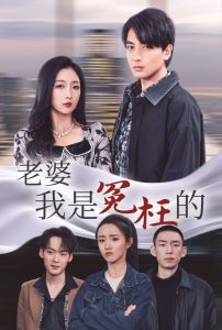 老婆我是冤枉的全集(大結局)