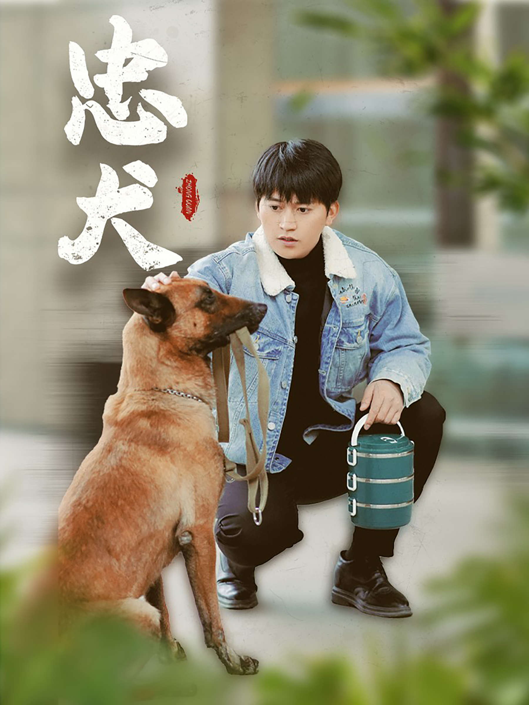 忠犬短劇全集(大結局)