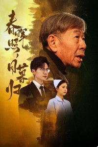 春暉照日暮歸全集(大結局)
