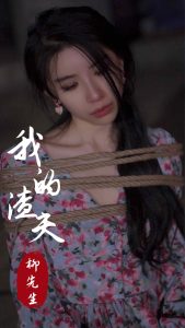 我的渣夫柳先生全集(大結局)